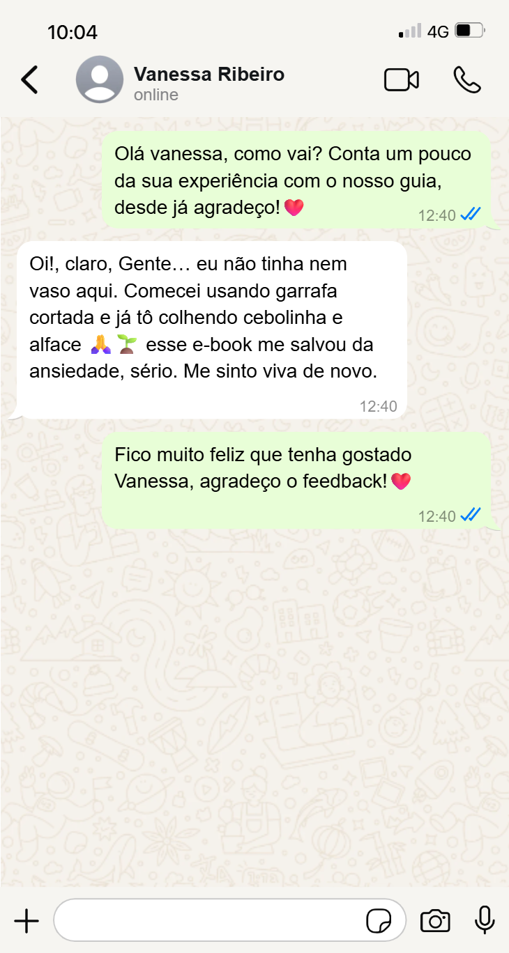 Conversa WhatsApp - Juliano Mendes